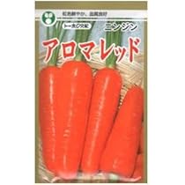Amazon.co.jp: ニンジンの種 アロマレッド ペレット1万粒 : DIY
